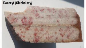 dewonski-kwarcyt-z-czerwonymi-pseudodendrytami