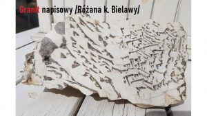 muzealny-okaz-kamienia-hebrajskiego